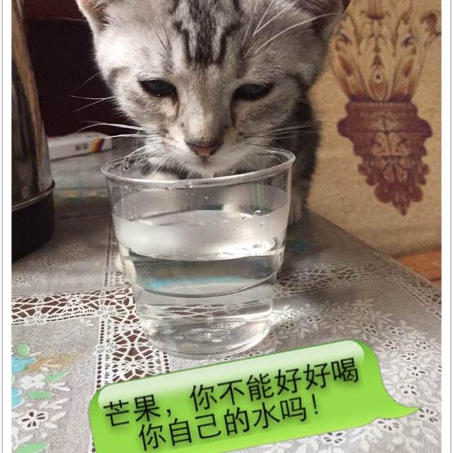 办理佛蒙特技术学院文凭毕业证